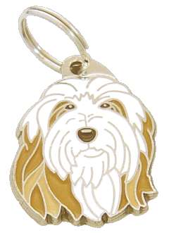 Bearded collie marrom <br> (placa de identificação para cães, Gravado incluído)